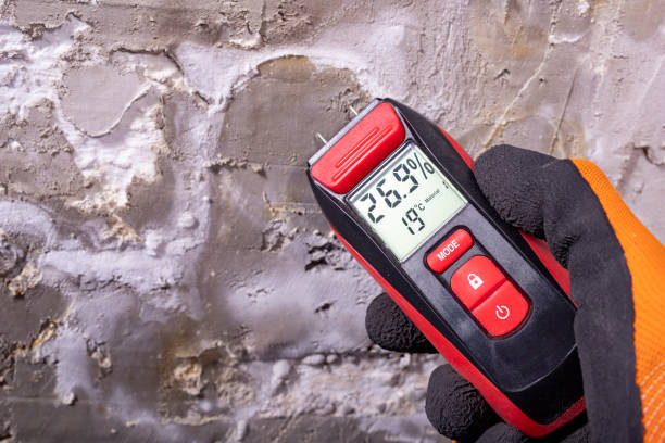 Best Commercial Mold Removal  in Dewart, PA