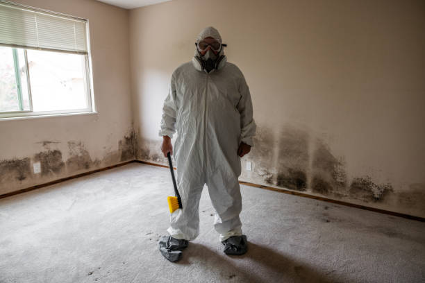 Mold Removal and Inspection in Dewart, PA