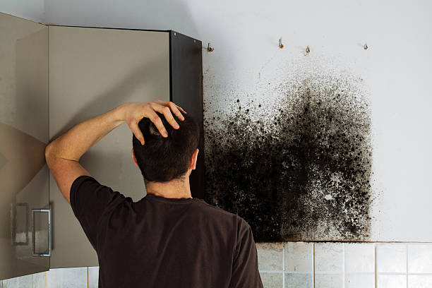 Best Attic Mold Removal  in Dewart, PA