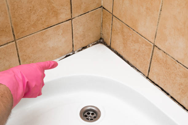 Best Mold Cleaning Services  in Dewart, PA